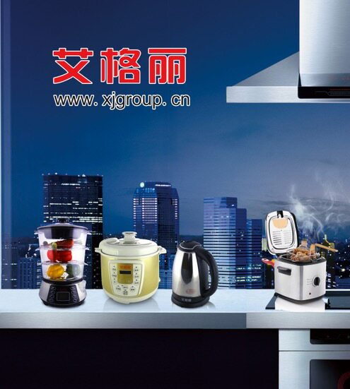 华耶电器