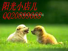 阳光小店儿的LOGO