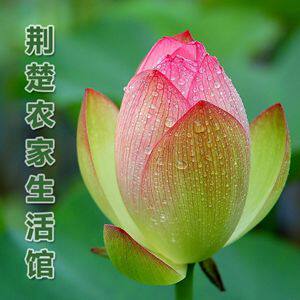 荆楚农家生活馆