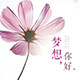 五月花母婴