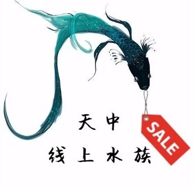 线上水族