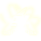 纽巴伦正品官方折扣店的LOGO