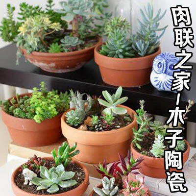 肉联之家 木子陶瓷