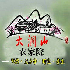 大洞山农家院的LOGO