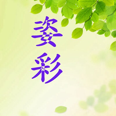 姿彩布艺