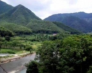 老肖鞋坊