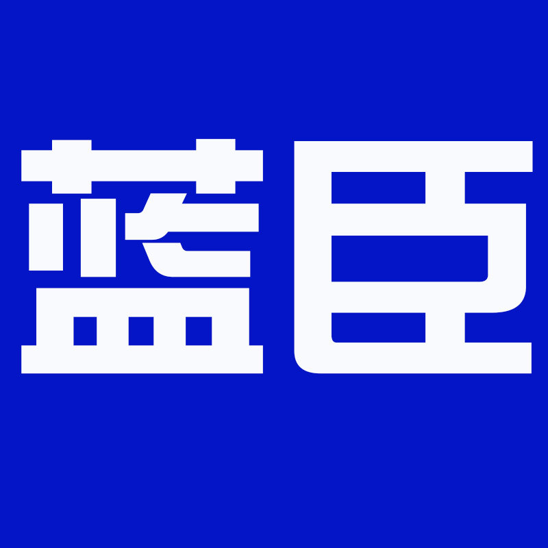 蓝臣汽车用品专营店