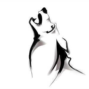 北森狼户外装备用品店的LOGO