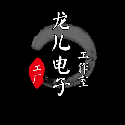 龙儿电子工厂店