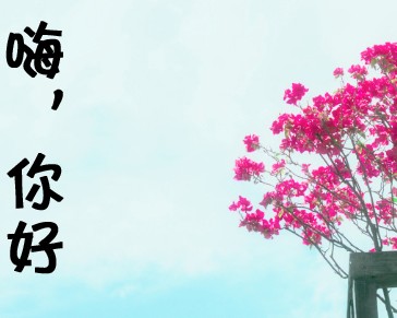 董哥衣城
