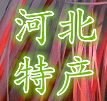河北特产美食店的LOGO