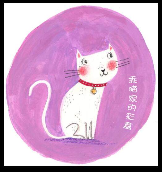 乖猫家的彩盒