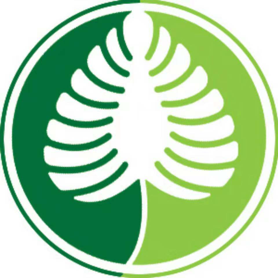 绿叶仙棕生态家居馆