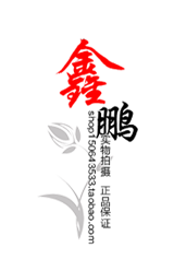 鑫鹏水晶