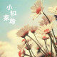 雨中的屋檐℃的LOGO