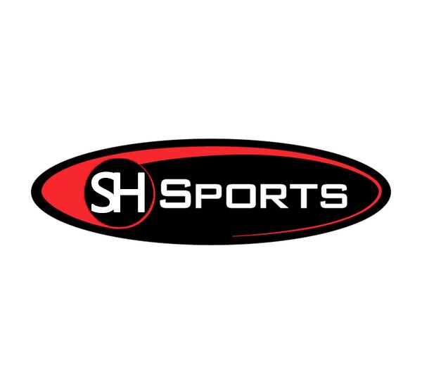 顺泓体育的LOGO
