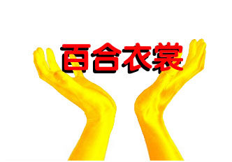 捣蛋鬼玩具