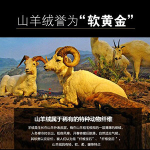正宗羊绒世家
