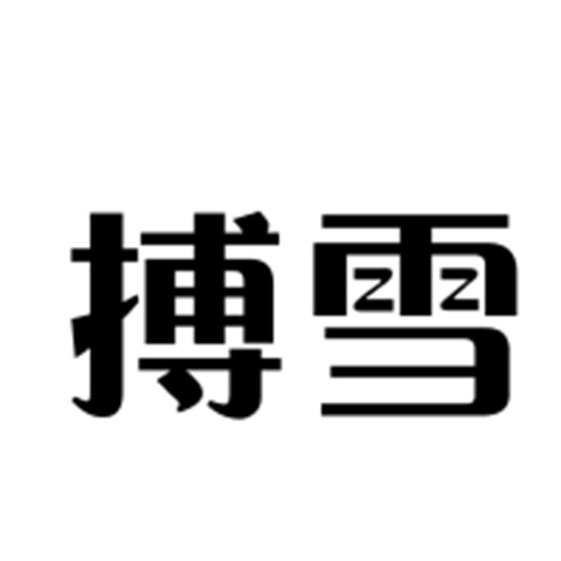 搏雪企业店
