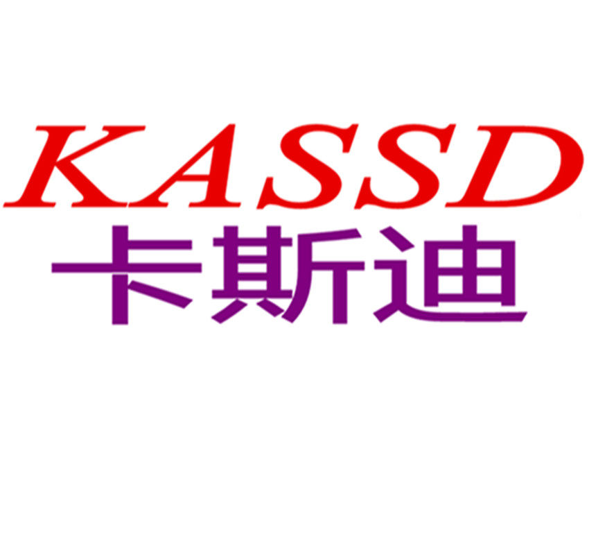 广州卡斯迪汽车用品有限公司