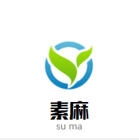 素麻独家定制精品童装