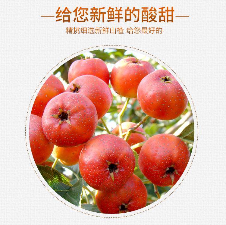 《山楂树之恋》的LOGO