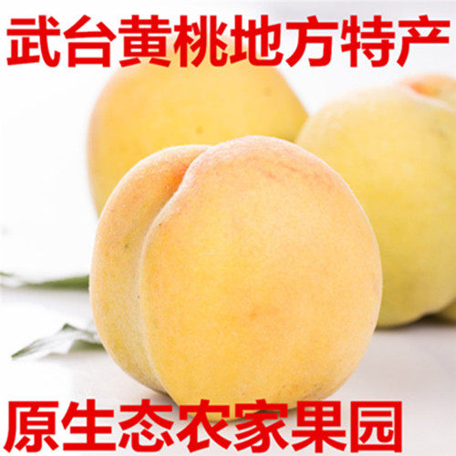 武台黄桃原产地的LOGO