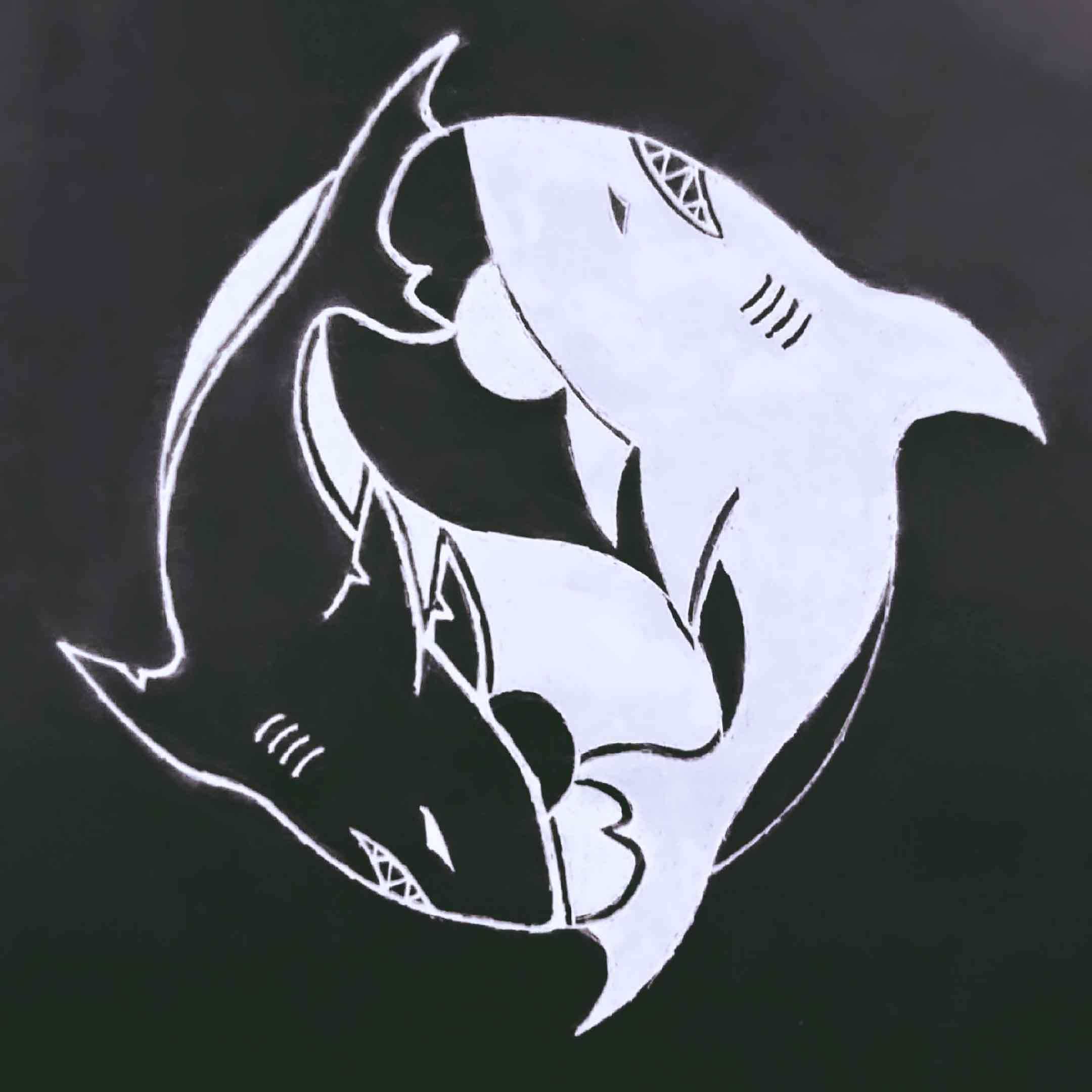 肌肉shark