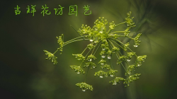 吉祥花坊的LOGO