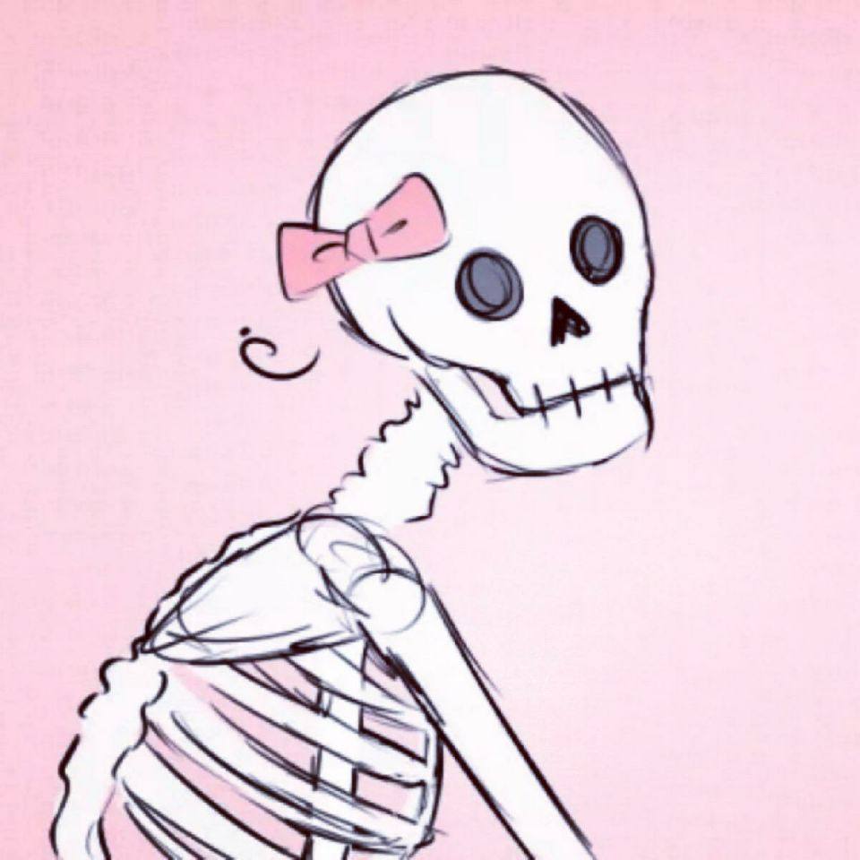 柯基和七月