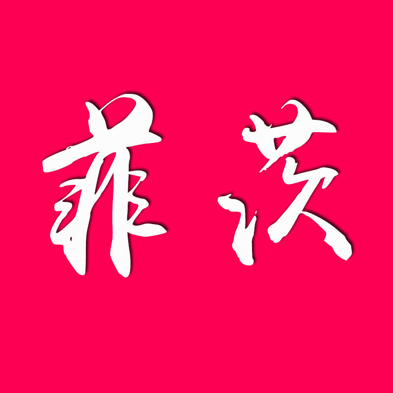 菲茨旗舰店