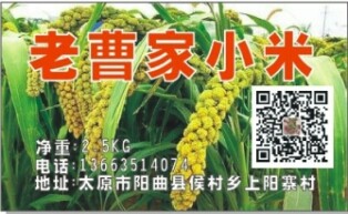 老曹家小米