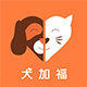 犬加福宠物用品犬家福