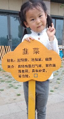 申林景观木质标识牌