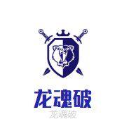 龙魂破旗舰店