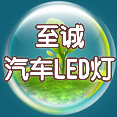 至诚汽车LED灯
