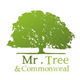 Mr Tree 玄同沉木