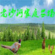 老沙河家庭农场