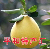 平和特产汇的LOGO