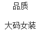 品质韩衣大码女装