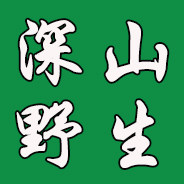 深山野生药草店