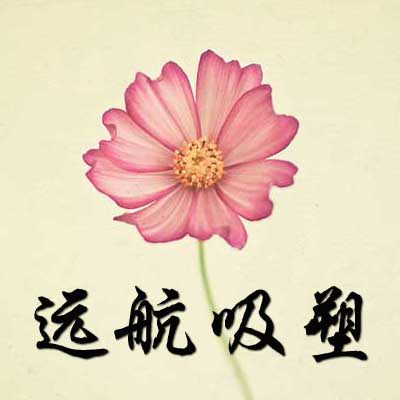 远航吸塑