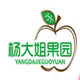 杨大姐果园