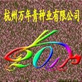 杭州万年青种业