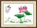 医学藏宝