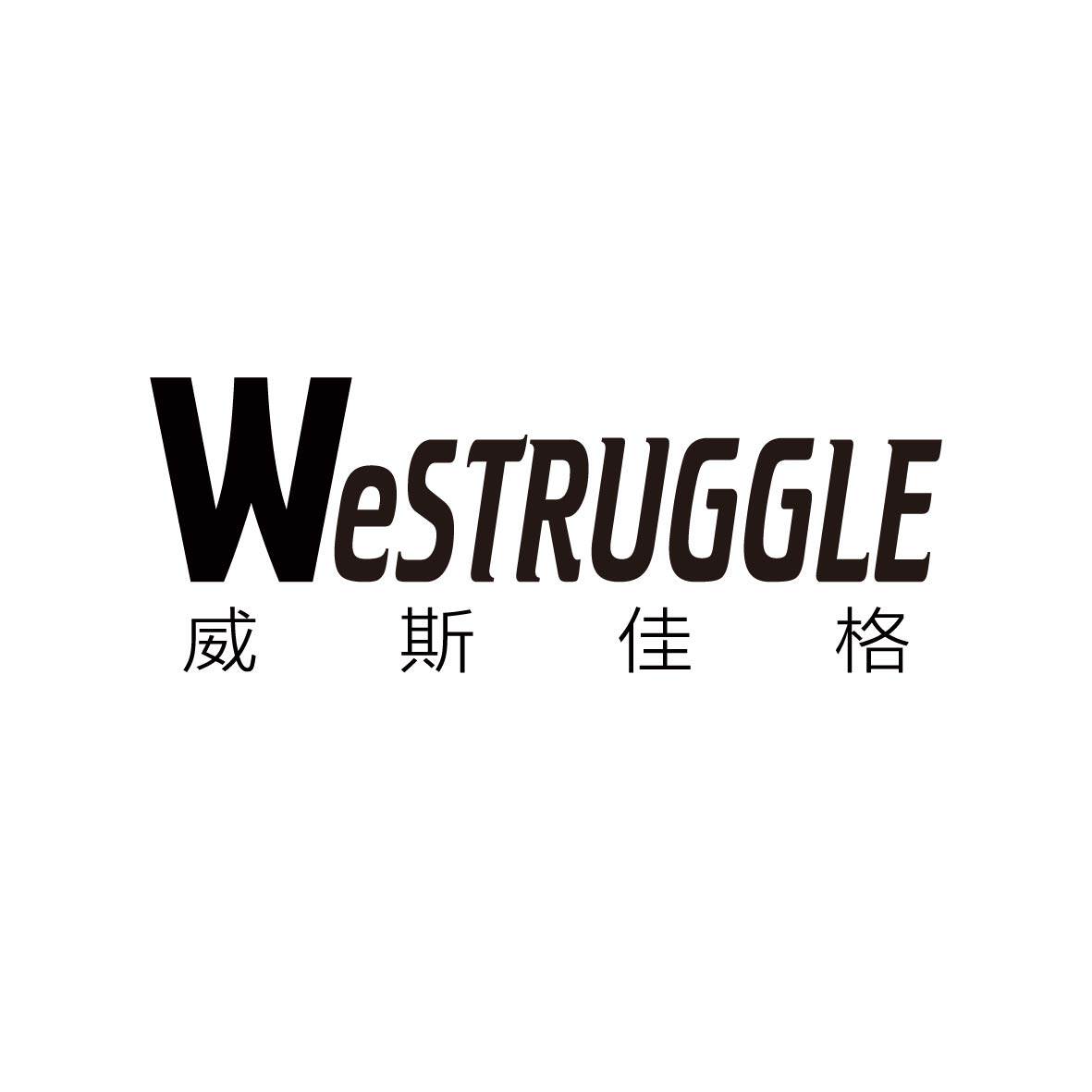 威斯佳格广州工厂