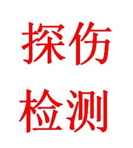 上海仪器仪表1店的LOGO