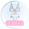 卡妮芬内衣店