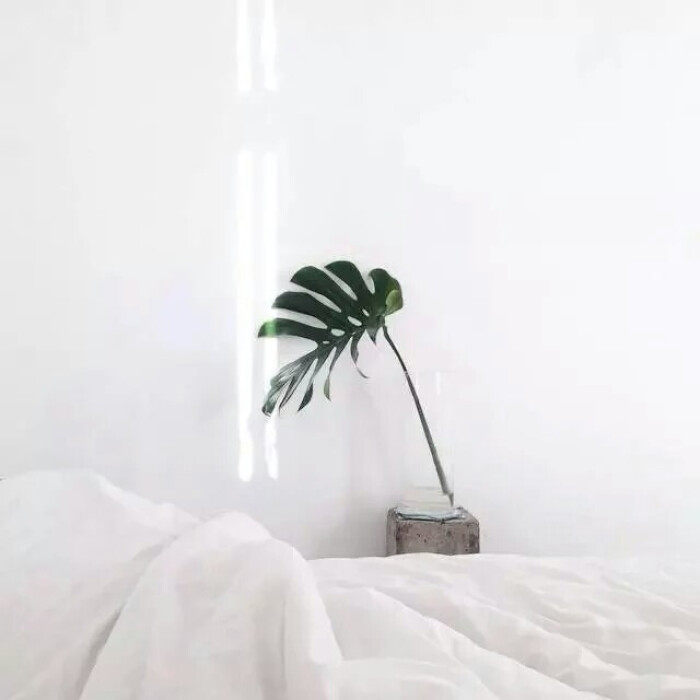 H HYGGE