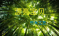 漂亮宝贝竹木工艺